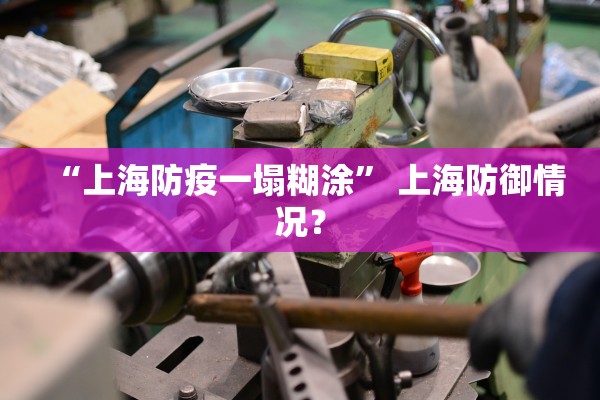 “上海防疫一塌糊涂” 上海防御情况？