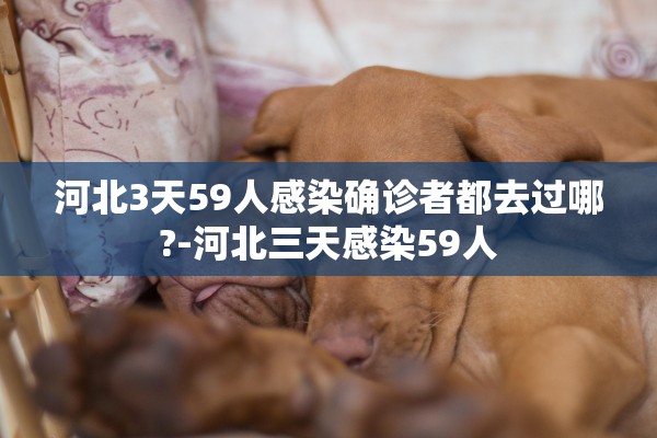 河北3天59人感染确诊者都去过哪?-河北三天感染59人
