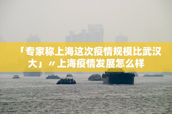 「专家称上海这次疫情规模比武汉大」〃上海疫情发展怎么样