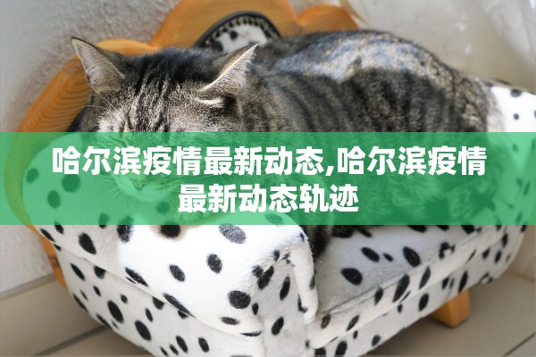 “河北新增5例本土确诊	” 河北新增5例确证病例？