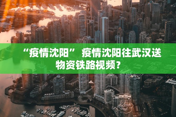 “疫情沈阳” 疫情沈阳往武汉送物资铁路视频？