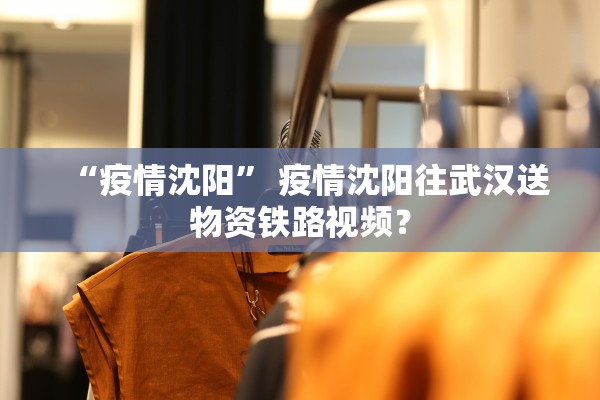 “疫情沈阳	” 疫情沈阳往武汉送物资铁路视频？