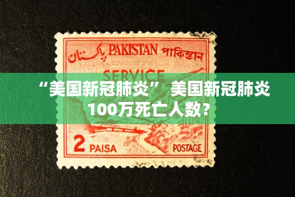 “美国新冠肺炎” 美国新冠肺炎100万死亡人数？
