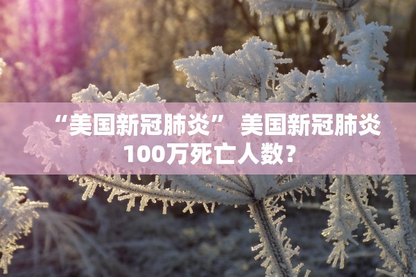“美国新冠肺炎	” 美国新冠肺炎100万死亡人数？