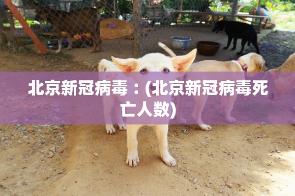 北京新冠病毒︰(北京新冠病毒死亡人数)