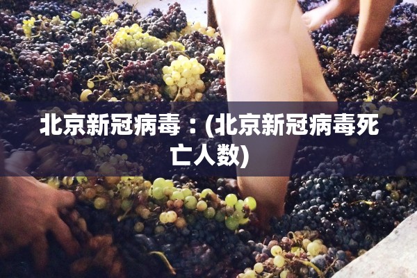 北京新冠病毒︰(北京新冠病毒死亡人数)
