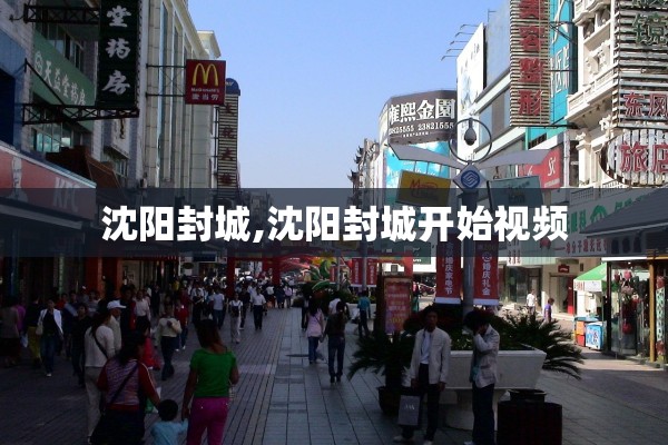 沈阳封城,沈阳封城开始视频