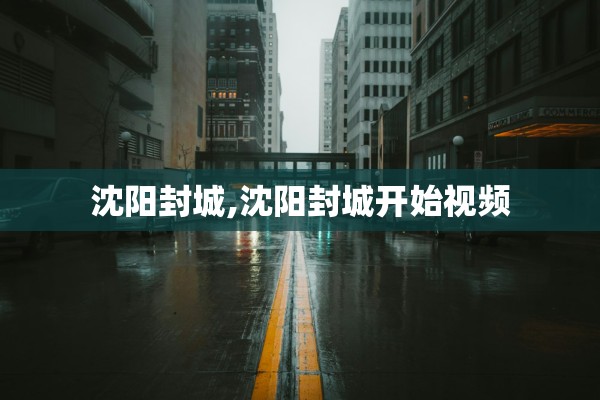 沈阳封城,沈阳封城开始视频