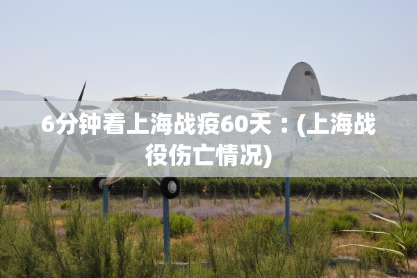 6分钟看上海战疫60天︰(上海战役伤亡情况)