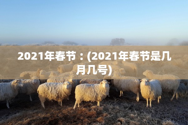 2021年春节︰(2021年春节是几月几号)