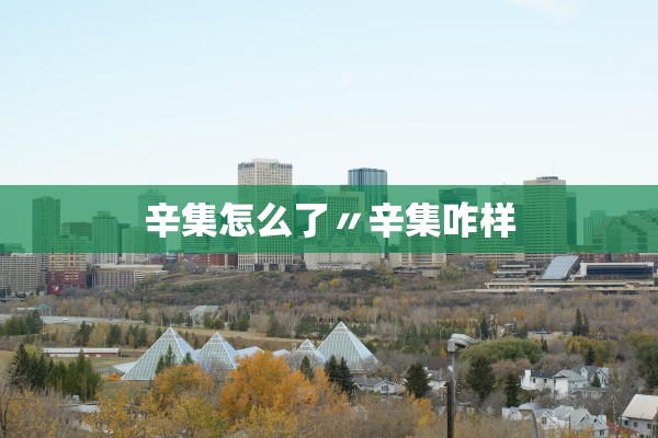 辛集怎么了〃辛集咋样