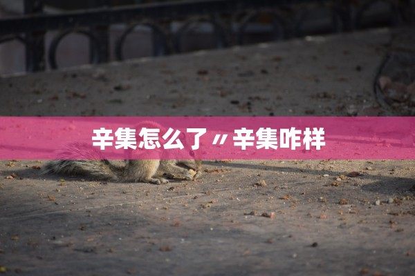 辛集怎么了〃辛集咋样