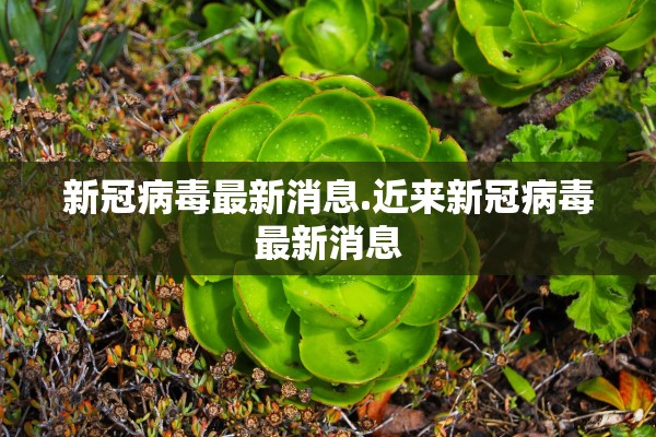 新冠病毒最新消息.近来新冠病毒最新消息