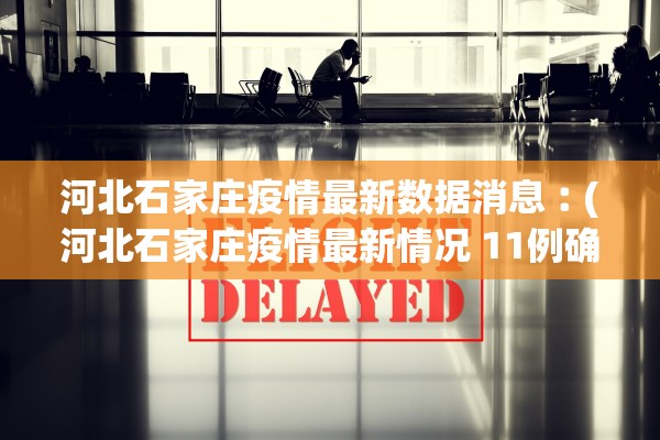 河北石家庄疫情最新数据消息︰(河北石家庄疫情最新情况 11例确诊)