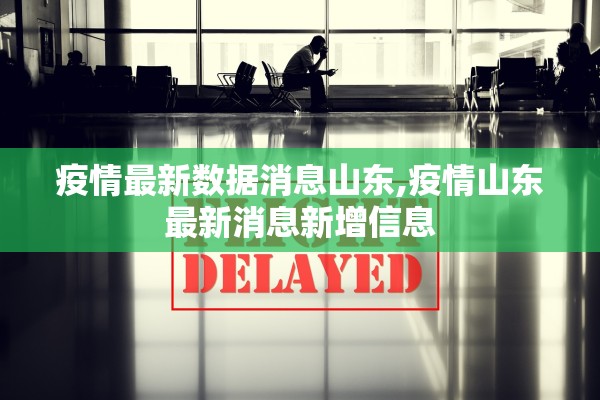 疫情最新数据消息山东,疫情山东最新消息新增信息