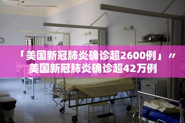 「美国新冠肺炎确诊超2600例」〃美国新冠肺炎确诊超42万例