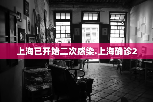 上海已开始二次感染.上海确诊2