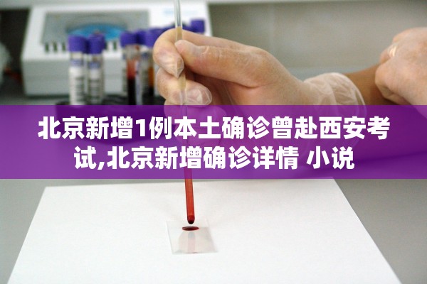北京新增1例本土确诊曾赴西安考试,北京新增确诊详情 小说