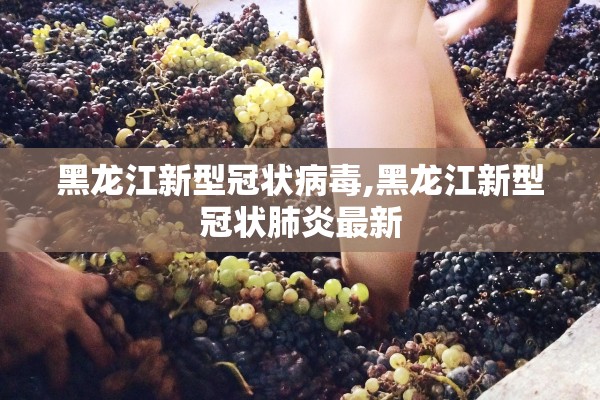 黑龙江新型冠状病毒,黑龙江新型冠状肺炎最新