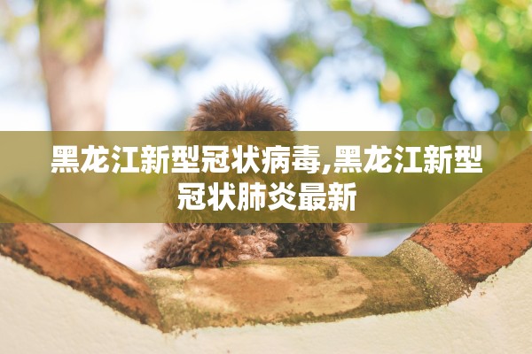 黑龙江新型冠状病毒,黑龙江新型冠状肺炎最新