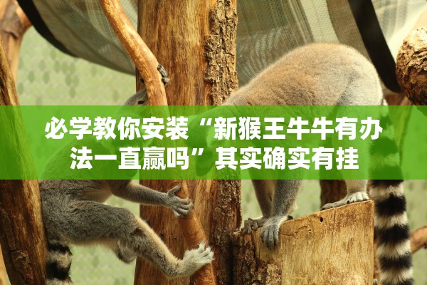 可用版本“微乐云南麻将开挂神器	”作弊(透视)透视辅助 