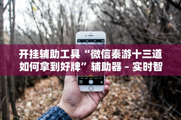 开挂辅助工具“微信秦游十三道如何拿到好牌”辅助器 – 实时智能回复