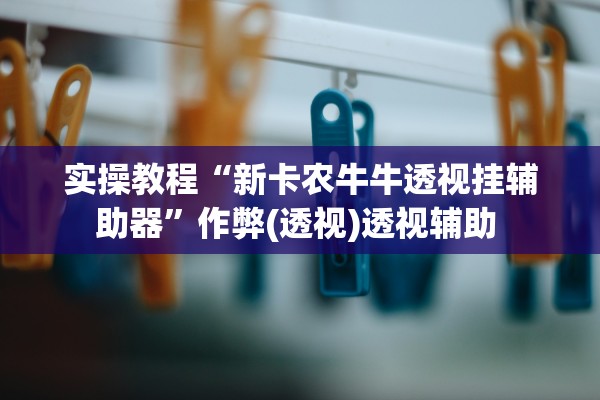 实操教程“新卡农牛牛透视挂辅助器”作弊(透视)透视辅助 