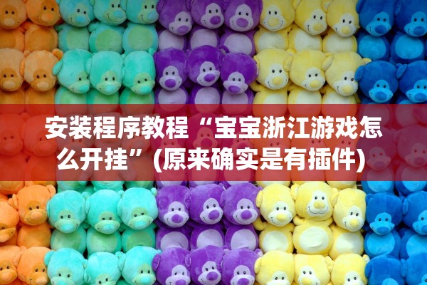安装程序教程“宝宝浙江游戏怎么开挂”(原来确实是有插件) 