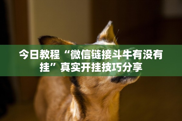 今日教程“微信链接斗牛有没有挂	”真实开挂技巧分享