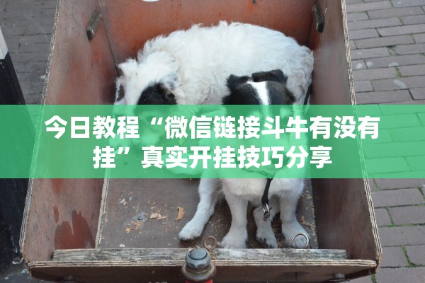 今日教程“微信链接斗牛有没有挂”真实开挂技巧分享