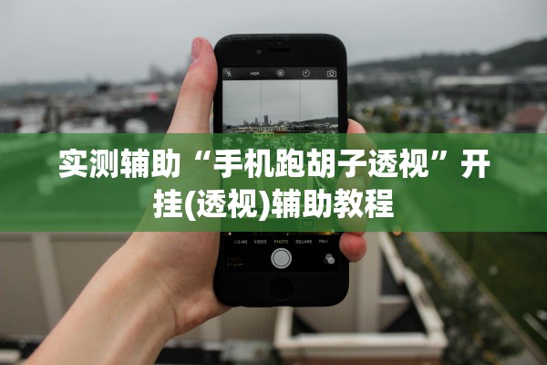 实测辅助“手机跑胡子透视”开挂(透视)辅助教程