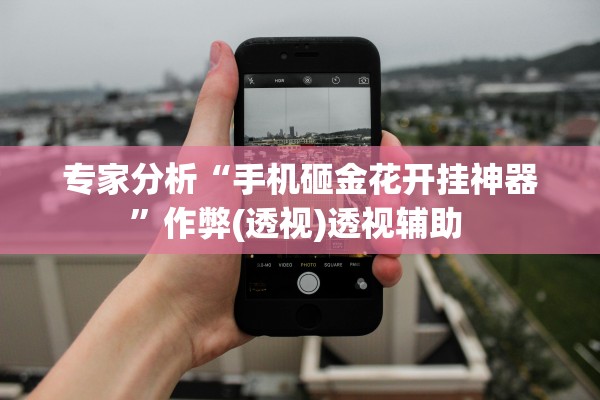 教程辅助！“玖天乐游有挂没有”其实确实有挂