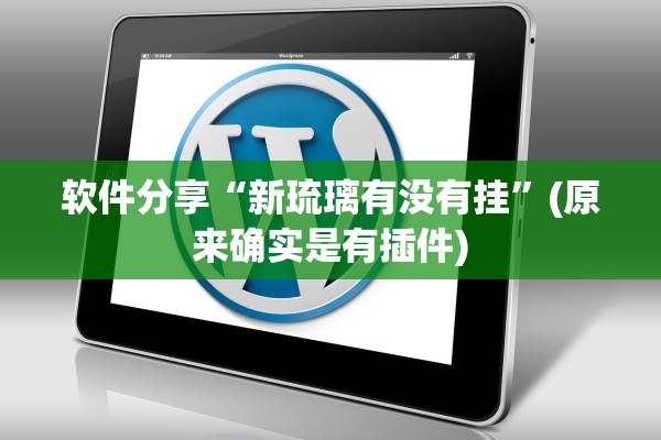 软件分享“新琉璃有没有挂”(原来确实是有插件)