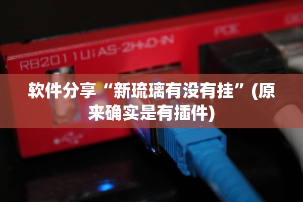 软件分享“新琉璃有没有挂	”(原来确实是有插件)