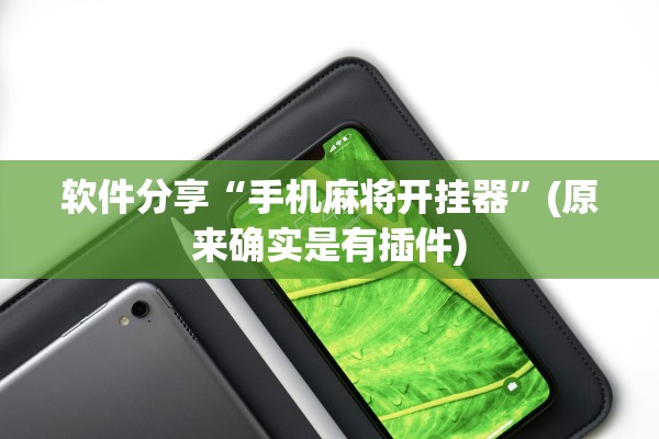 软件分享“手机麻将开挂器”(原来确实是有插件)