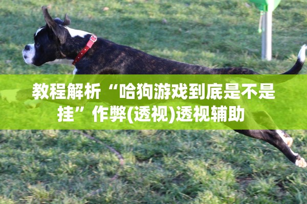 教程解析“哈狗游戏到底是不是挂”作弊(透视)透视辅助 