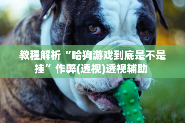 教程解析“哈狗游戏到底是不是挂	”作弊(透视)透视辅助 