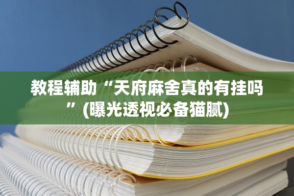 教程辅助“天府麻舍真的有挂吗”(曝光透视必备猫腻)