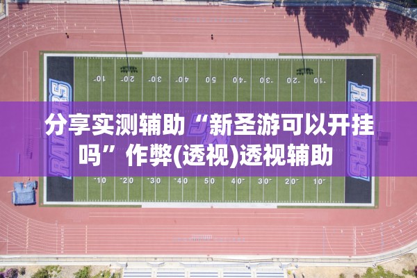 分享实测辅助“新圣游可以开挂吗”作弊(透视)透视辅助 