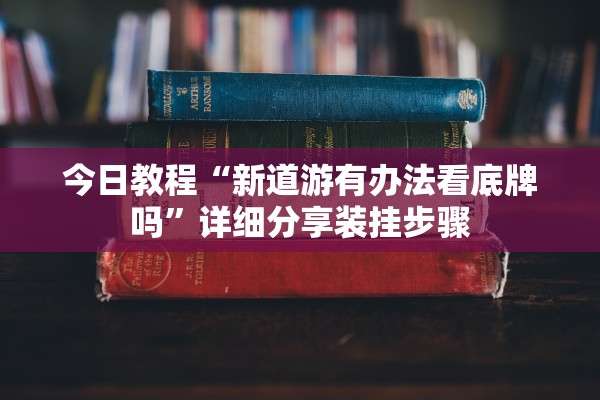 今日教程“新道游有办法看底牌吗”详细分享装挂步骤
