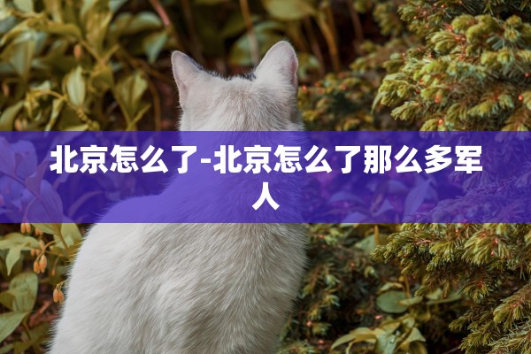 北京怎么了-北京怎么了那么多军人