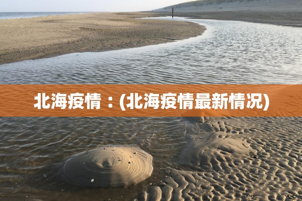 北海疫情︰(北海疫情最新情况)