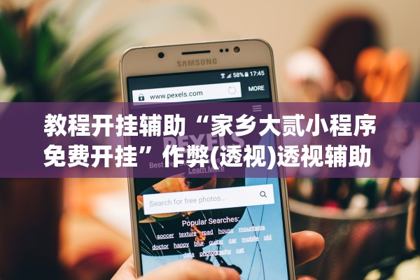 教程开挂辅助“家乡大贰小程序免费开挂”作弊(透视)透视辅助 