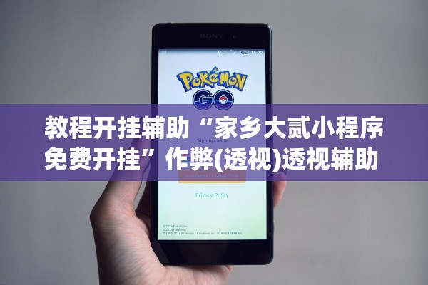 教程开挂辅助“家乡大贰小程序免费开挂”作弊(透视)透视辅助 