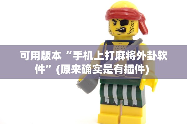 可用版本“手机上打麻将外卦软件”(原来确实是有插件) 