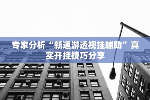 专家分析“新道游透视挂辅助”真实开挂技巧分享