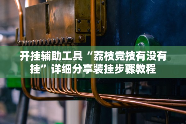 开挂辅助工具“荔枝竞技有没有挂	”详细分享装挂步骤教程