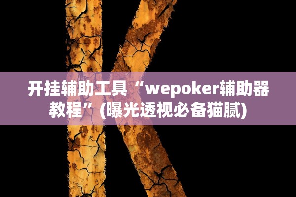 开挂辅助工具“wepoker辅助器教程”(曝光透视必备猫腻)