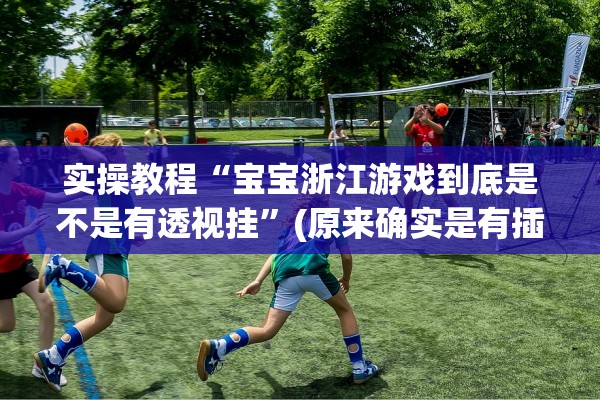 实操教程“宝宝浙江游戏到底是不是有透视挂”(原来确实是有插件) 