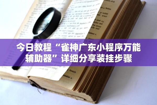 今日教程“雀神广东小程序万能辅助器”详细分享装挂步骤